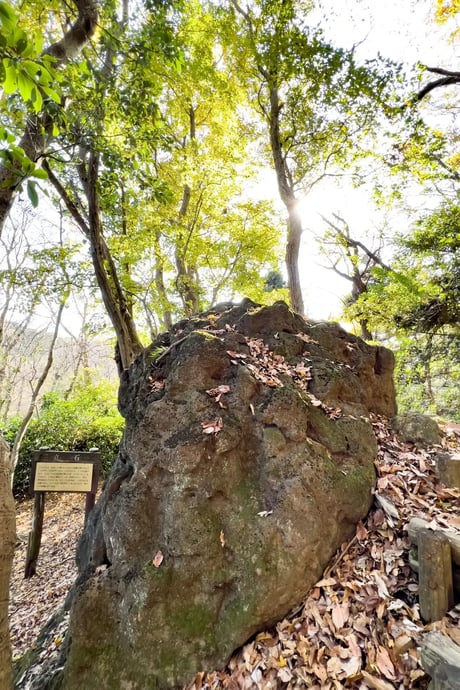神奈川県平塚市の保有林