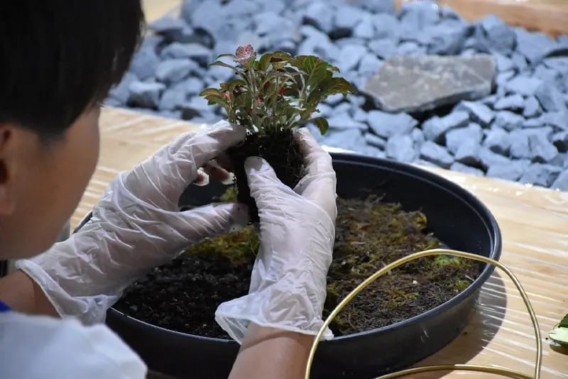 苔玉づくり組は袋をつけて土をこねこね